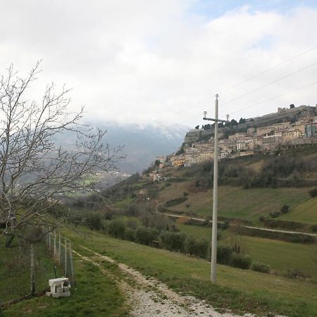B&B La Collina Degli Ulivi Civitella Del Tronto Екстер'єр фото